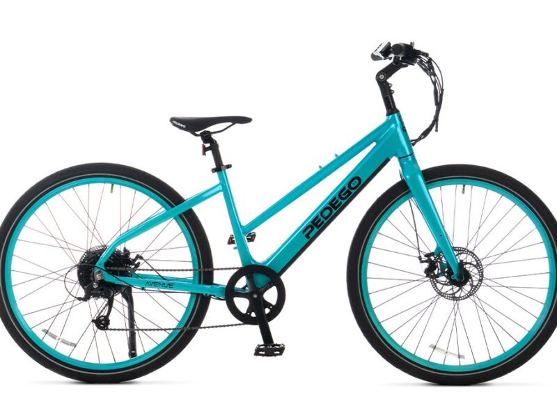 Avenue Hybrid Step Thru